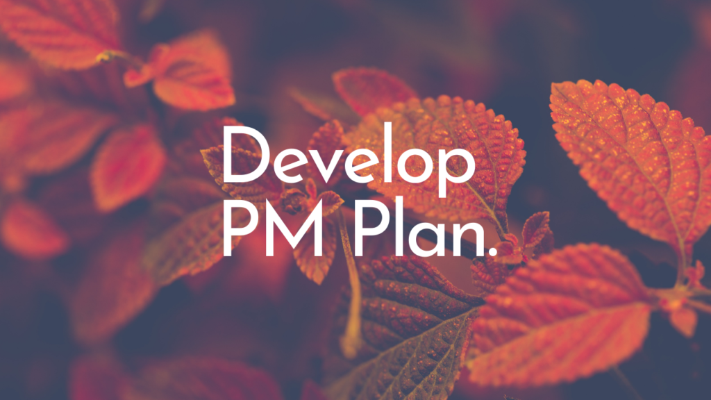 Develop PM Plan